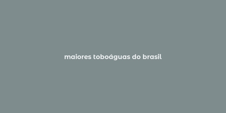 maiores toboáguas do brasil