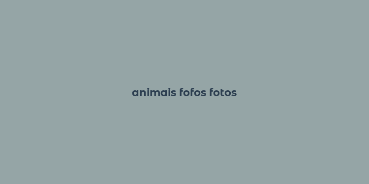 animais fofos fotos