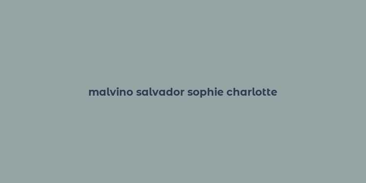 malvino salvador sophie charlotte