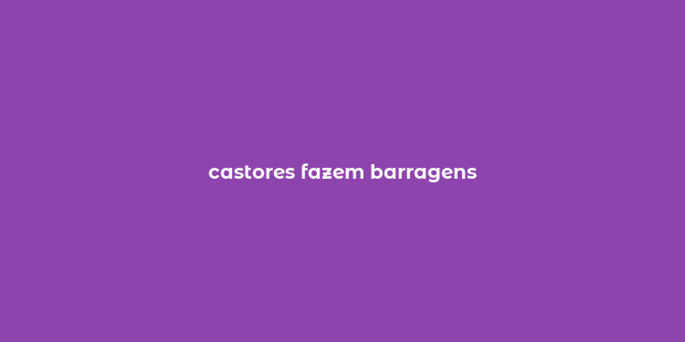 castores fazem barragens