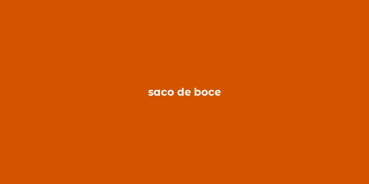 saco de boce