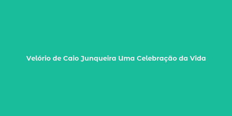 Velório de Caio Junqueira Uma Celebração da Vida