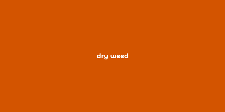 dry weed