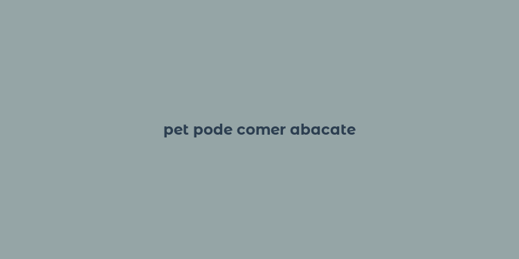 pet pode comer abacate