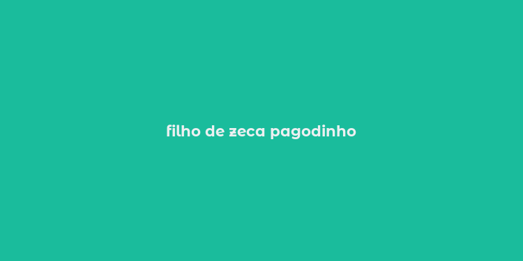 filho de zeca pagodinho