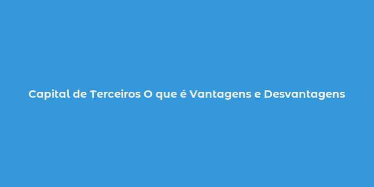 Capital de Terceiros O que é Vantagens e Desvantagens