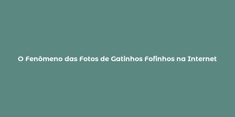 O Fenômeno das Fotos de Gatinhos Fofinhos na Internet