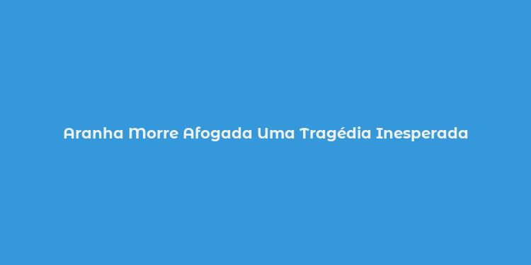 Aranha Morre Afogada Uma Tragédia Inesperada