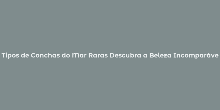 Tipos de Conchas do Mar Raras Descubra a Beleza Incomparável