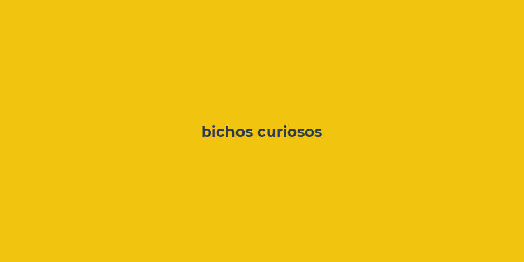 bichos curiosos