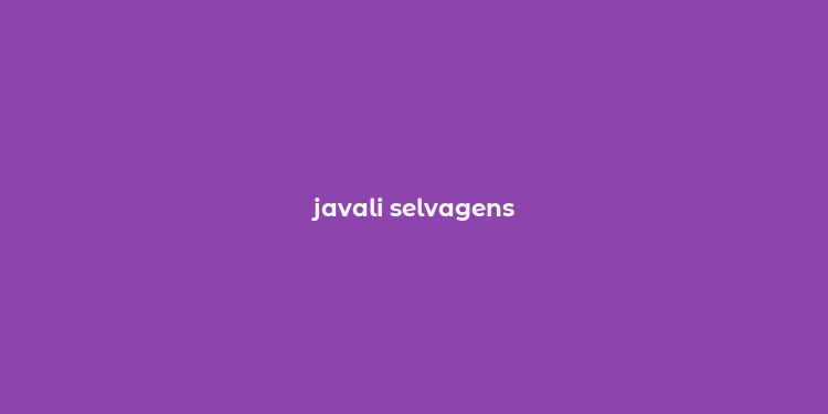 javali selvagens