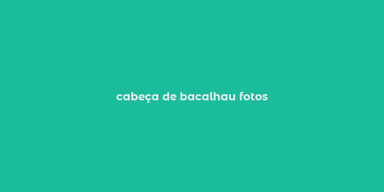 cabeça de bacalhau fotos