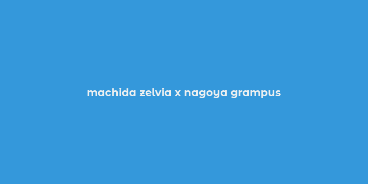 machida zelvia x nagoya grampus