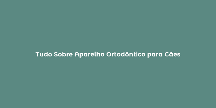 Tudo Sobre Aparelho Ortodôntico para Cães