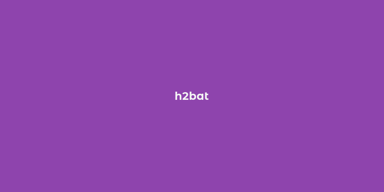 h2bat