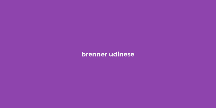 brenner udinese