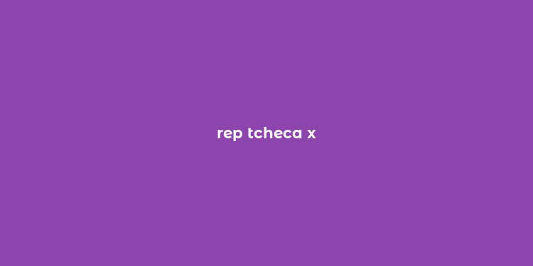 rep tcheca x