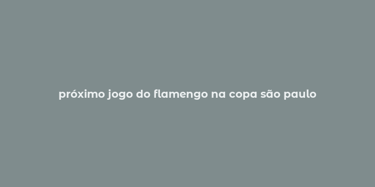 próximo jogo do flamengo na copa são paulo