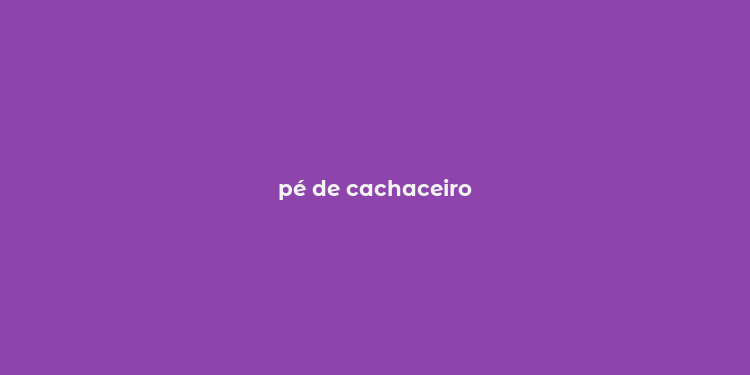 pé de cachaceiro