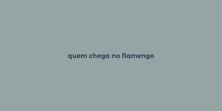 quem chega no flamengo