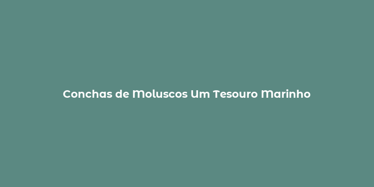 Conchas de Moluscos Um Tesouro Marinho