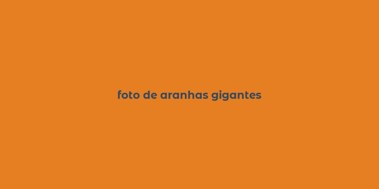 foto de aranhas gigantes