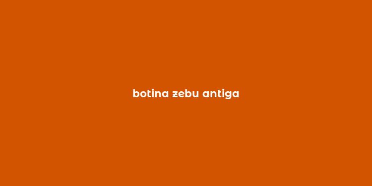 botina zebu antiga