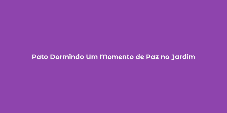 Pato Dormindo Um Momento de Paz no Jardim