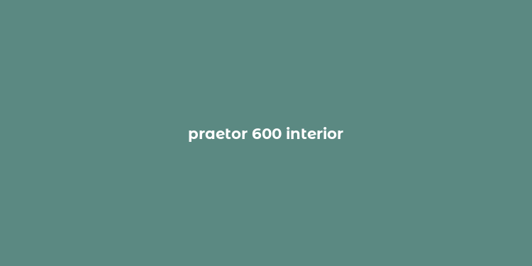 praetor 600 interior