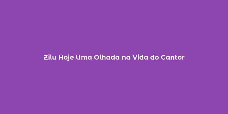 Zilu Hoje Uma Olhada na Vida do Cantor