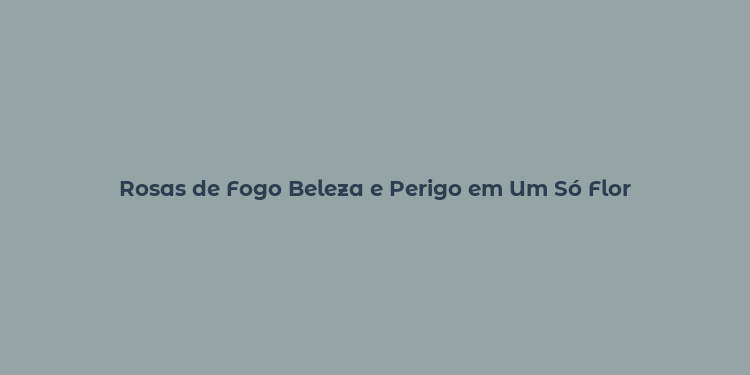 Rosas de Fogo Beleza e Perigo em Um Só Flor