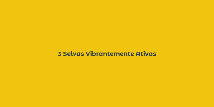 3 Selvas Vibrantemente Ativas