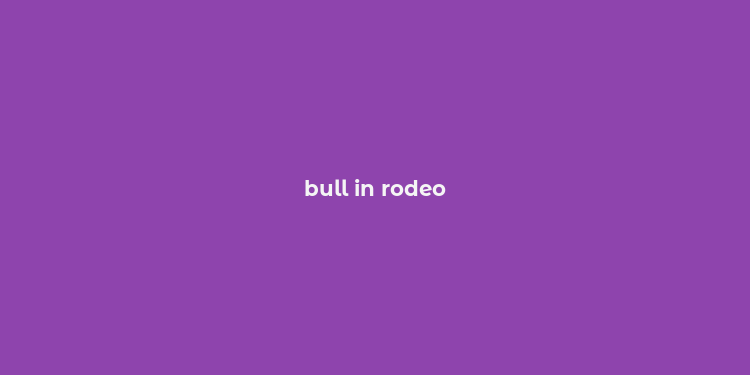 bull in rodeo