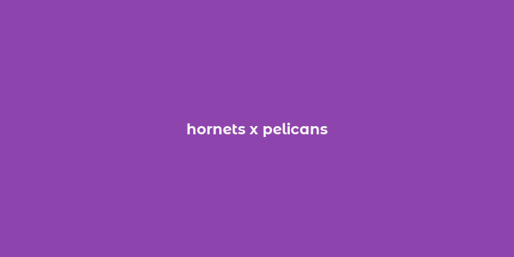 hornets x pelicans