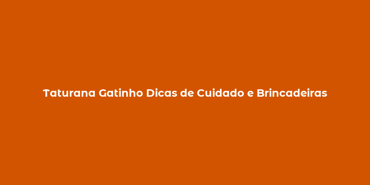 Taturana Gatinho Dicas de Cuidado e Brincadeiras