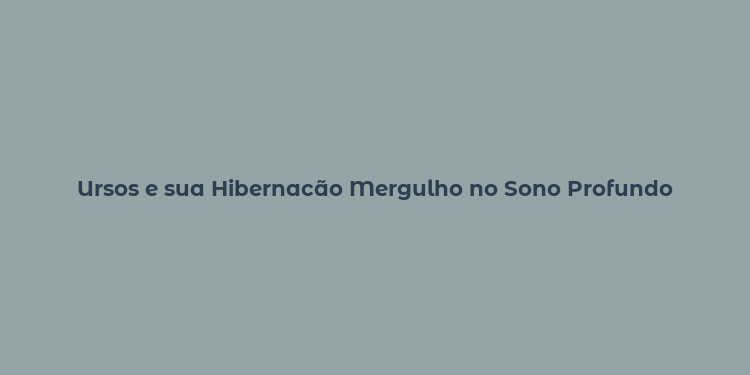 Ursos e sua Hibernacão Mergulho no Sono Profundo