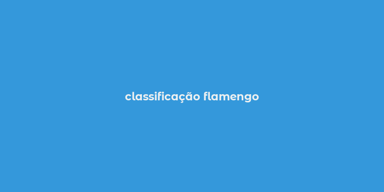 classificação flamengo