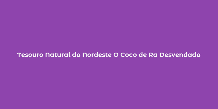 Tesouro Natural do Nordeste O Coco de Ra Desvendado