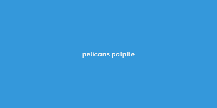 pelicans palpite